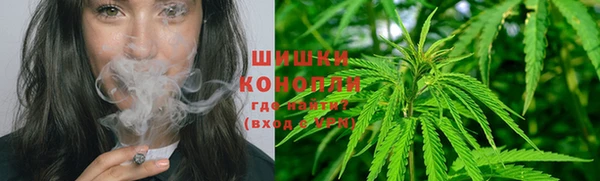 ПСИЛОЦИБИНОВЫЕ ГРИБЫ Горно-Алтайск
