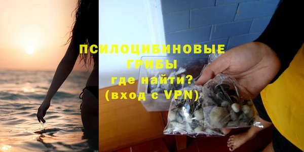 стаф Горняк