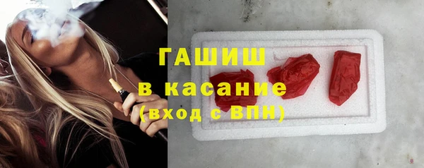 стаф Горняк