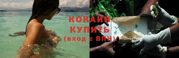 ПСИЛОЦИБИНОВЫЕ ГРИБЫ Горно-Алтайск