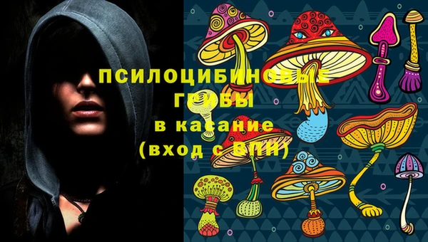 стаф Горняк