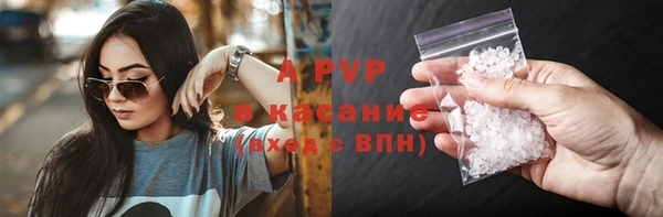 ПСИЛОЦИБИНОВЫЕ ГРИБЫ Горно-Алтайск