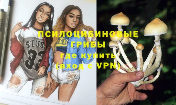 стаф Горняк