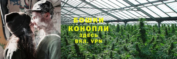 ПСИЛОЦИБИНОВЫЕ ГРИБЫ Горно-Алтайск