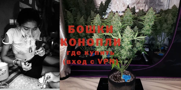стаф Горняк