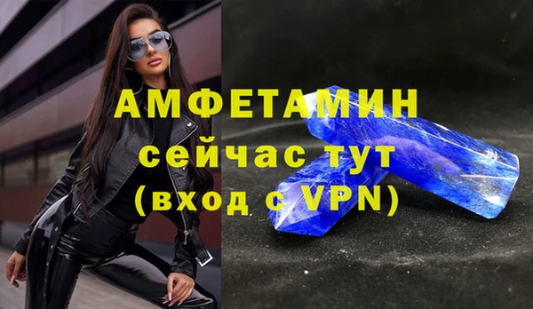 стаф Горняк