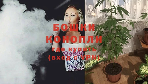 ПСИЛОЦИБИНОВЫЕ ГРИБЫ Горно-Алтайск