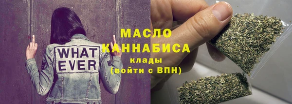 стаф Горняк