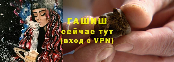 стаф Горняк